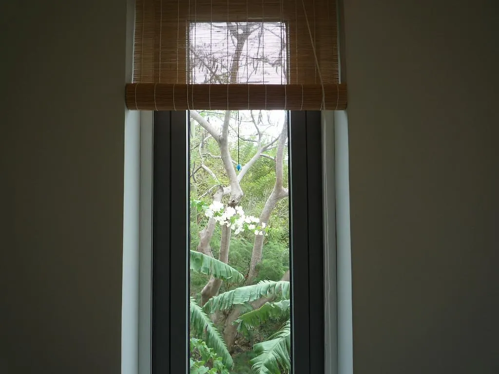 Séjour chez l'habitant Appartement Bella Vista Vung Tau